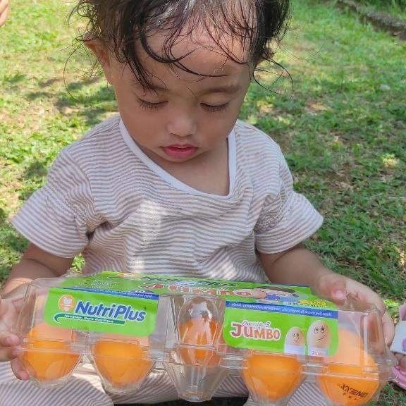 Kanak-kanak mengambil bahagian dalam acara menyusun telur.